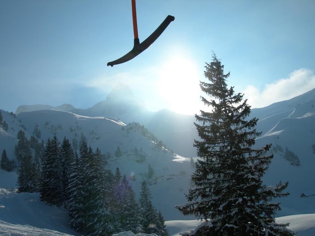 Hotel Tannenboden - Steinbock Flumserberg Екстериор снимка